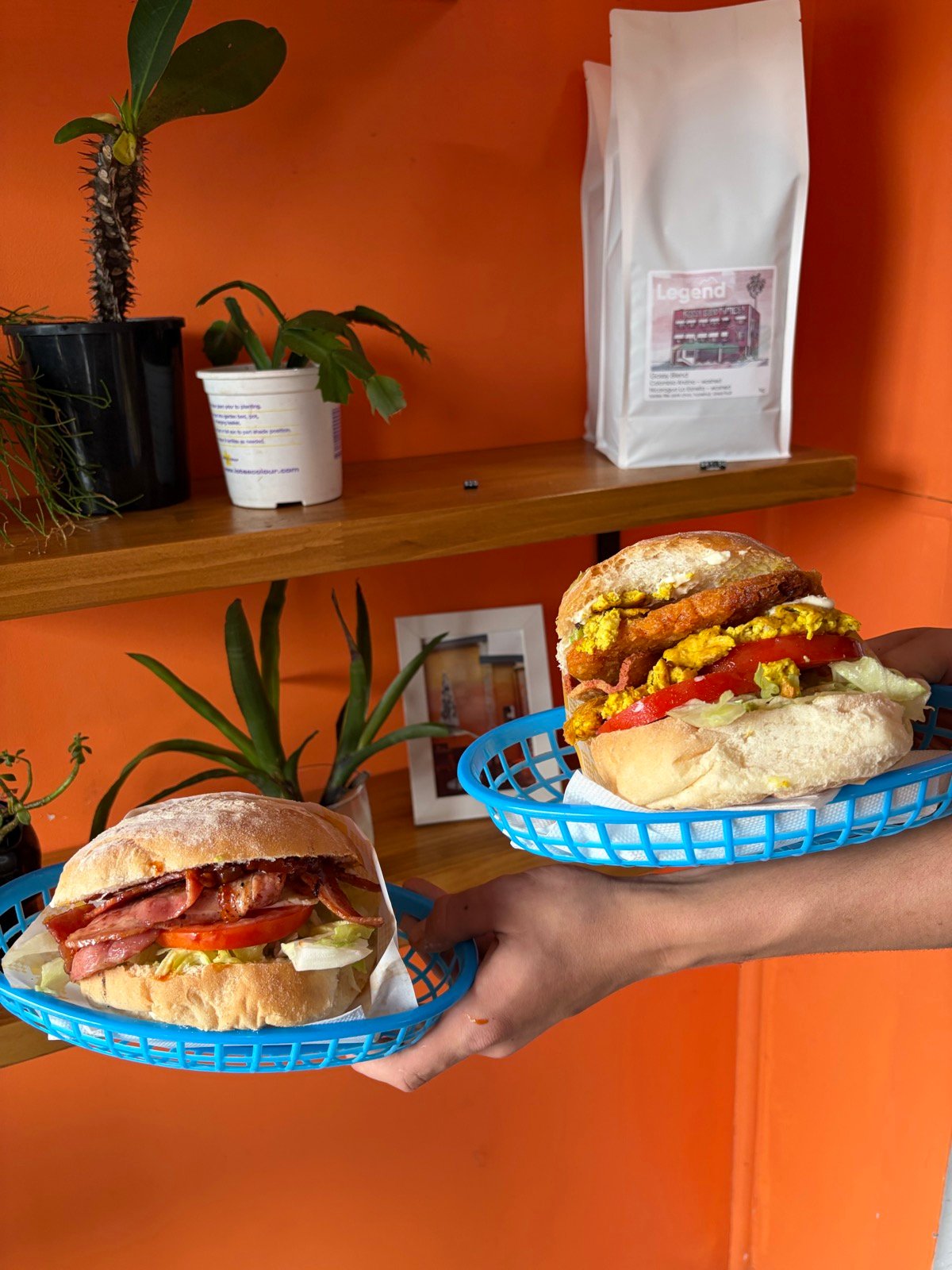 Two blue baskets of sangas held out in front of the orange wall and timber shelf with plants and a bag of Legend coffee.